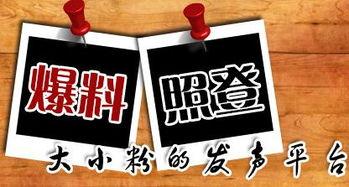 民间最新爆料新闻,民间最新爆料揭示惊人真相